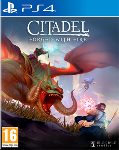 Citadel: Forged With Fire

PlayStation 4 - MMORPG
Versione Italiana
