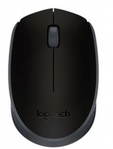 MOUSE LOGITECH M171