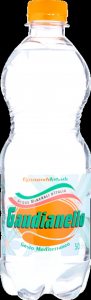 gaudianello acqua minerale pet ml.500