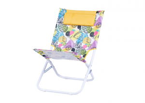 SPIAGGINA OXF/ACC.C/CUSC.22MM H72CM ANANAS