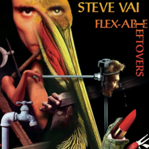 Flex-able Leftovers

Cd Audio
Per le foto del prodotto contattateci.