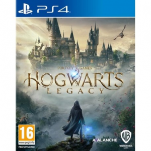 Hogwarts Legacy Usato

PlayStation 4 - Avventura
Versione Italiana